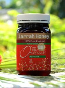 紅柳桉樹蜂蜜10+